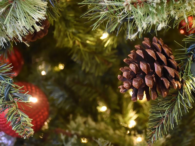 Atelier de bricolage