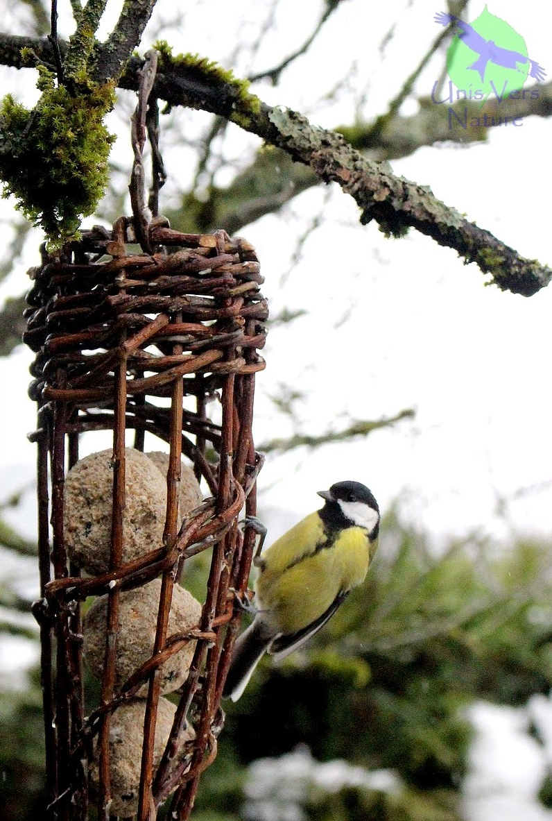 Atelier mangeoire végétale