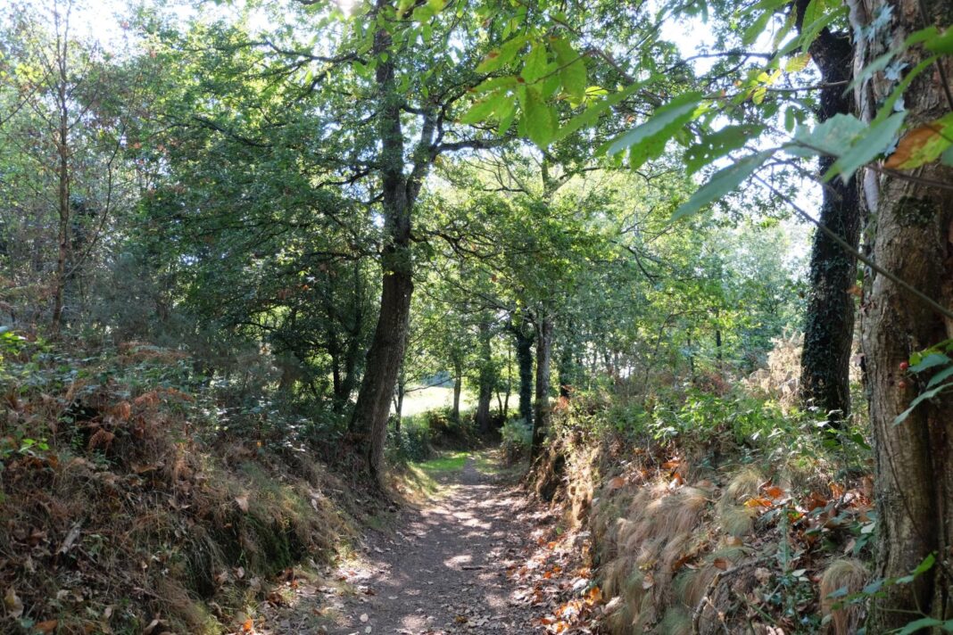 Balade contée dans la vallée de l&rsquo;Aure chemin de l&rsquo;église Vaux-sur-Aure