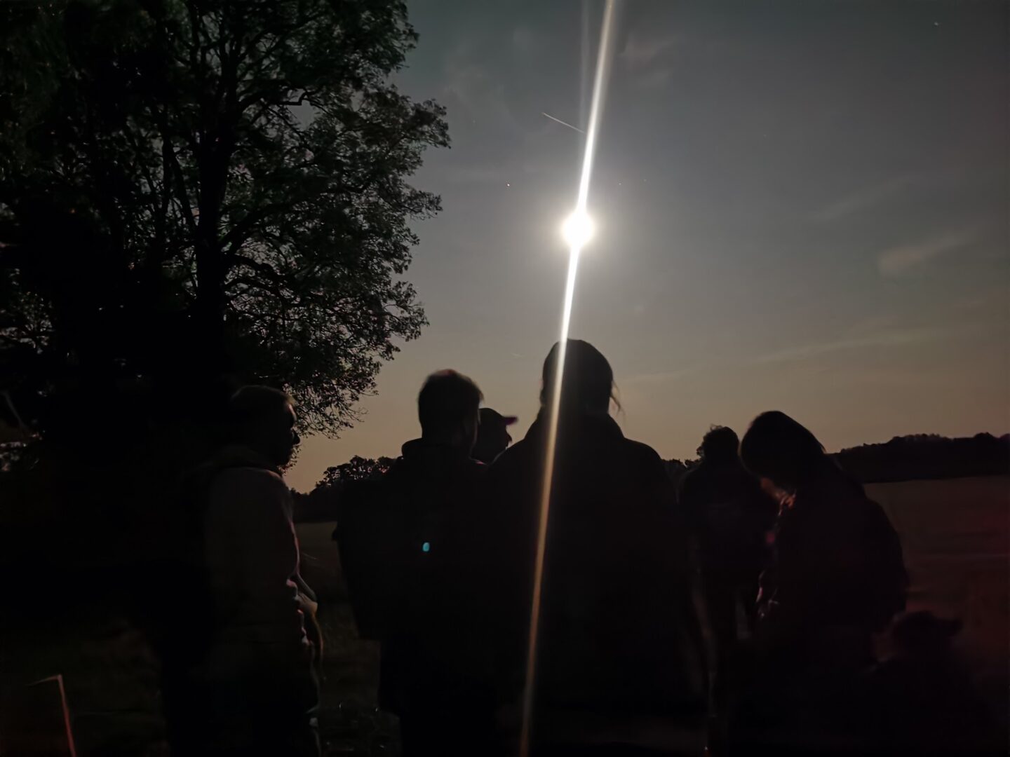 Balade crépusculaire