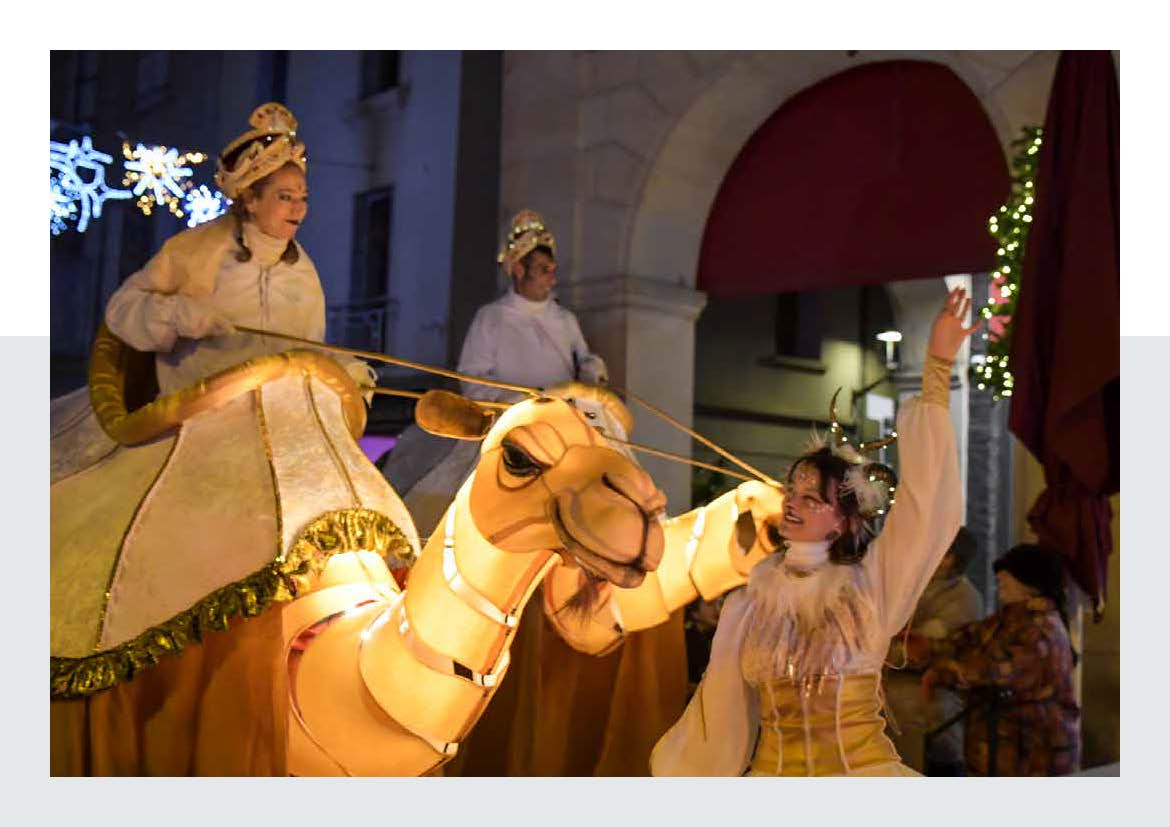 CHALETS DE NOEL ET ANIMATIONS