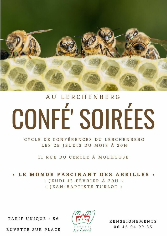 Confé' Soirées - Le monde fascinant des abeilles Lerchenberg Mulhouse