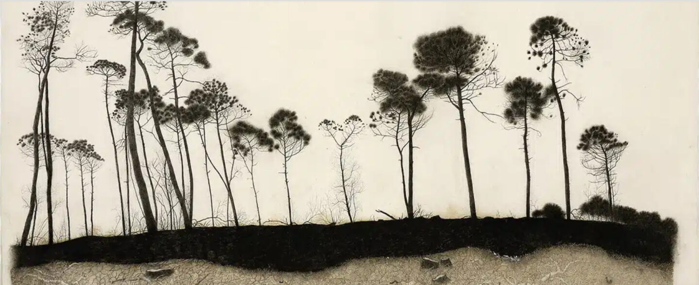 Exposition La part du feu de Claire Forgeot