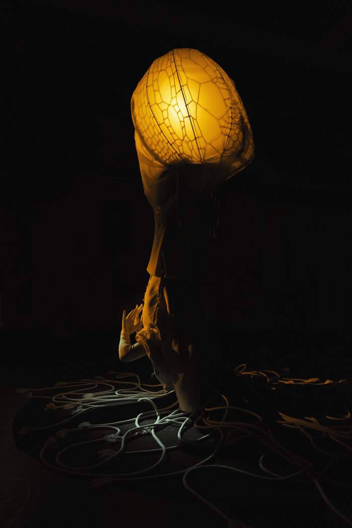 IMAGO Service culturel de Villiers le Bel Villiers-le-Bel