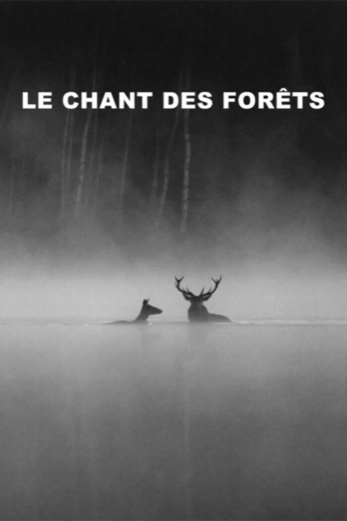 Le Chant des forêts Cinés Palace Épinal