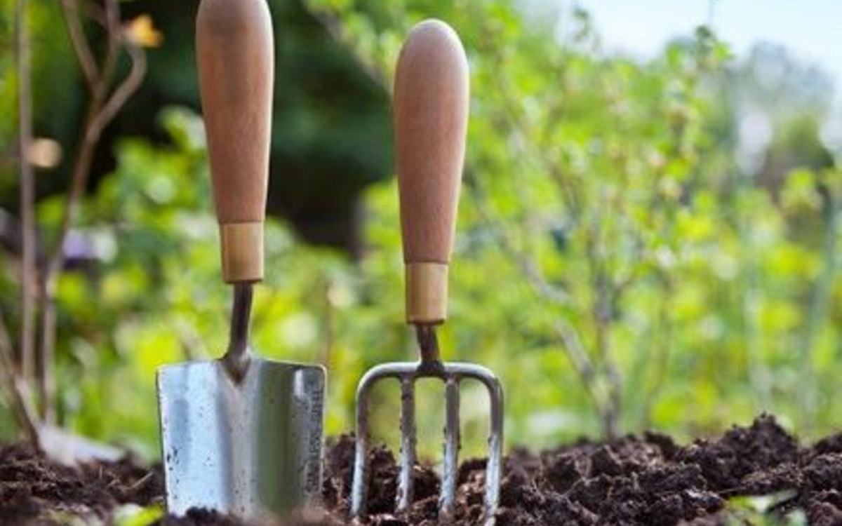 Le rendez-vous du jardinier - novembre 2025 Maison du Jardinage et du Compostage PARIS