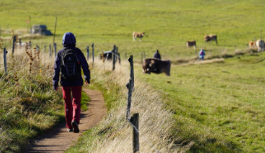 Téléthon Cantonal | Randonnée