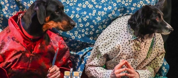 Théâtre de l'Usine Ouiiii Cie des Plumés