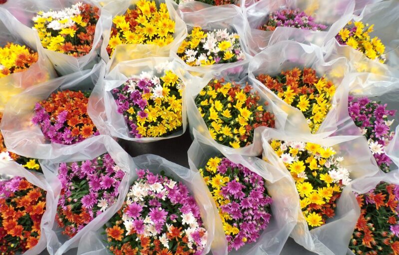 Toussaint symbole des fleurs