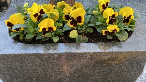 Toussaint symbole des fleurs