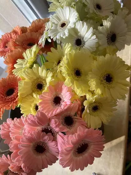 Toussaint symbole des fleurs 