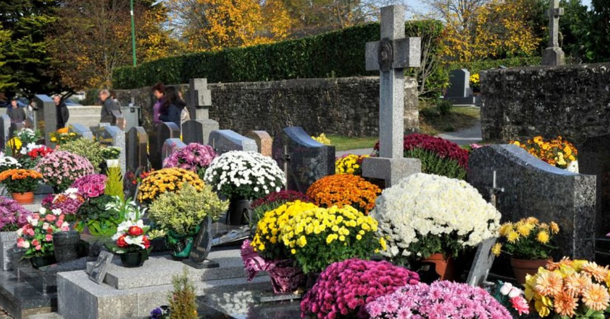 Toussaint symbole des fleurs 