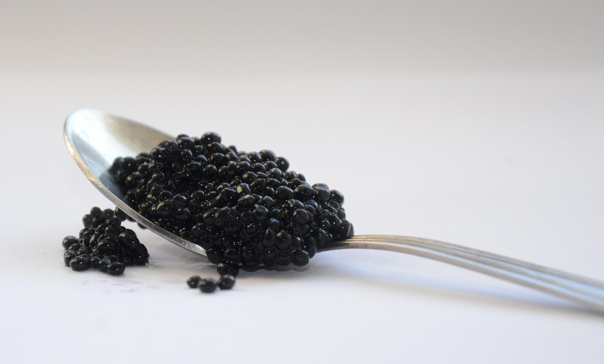 ACCORD VIN ET CAVIAR L'ART DU GOÛT