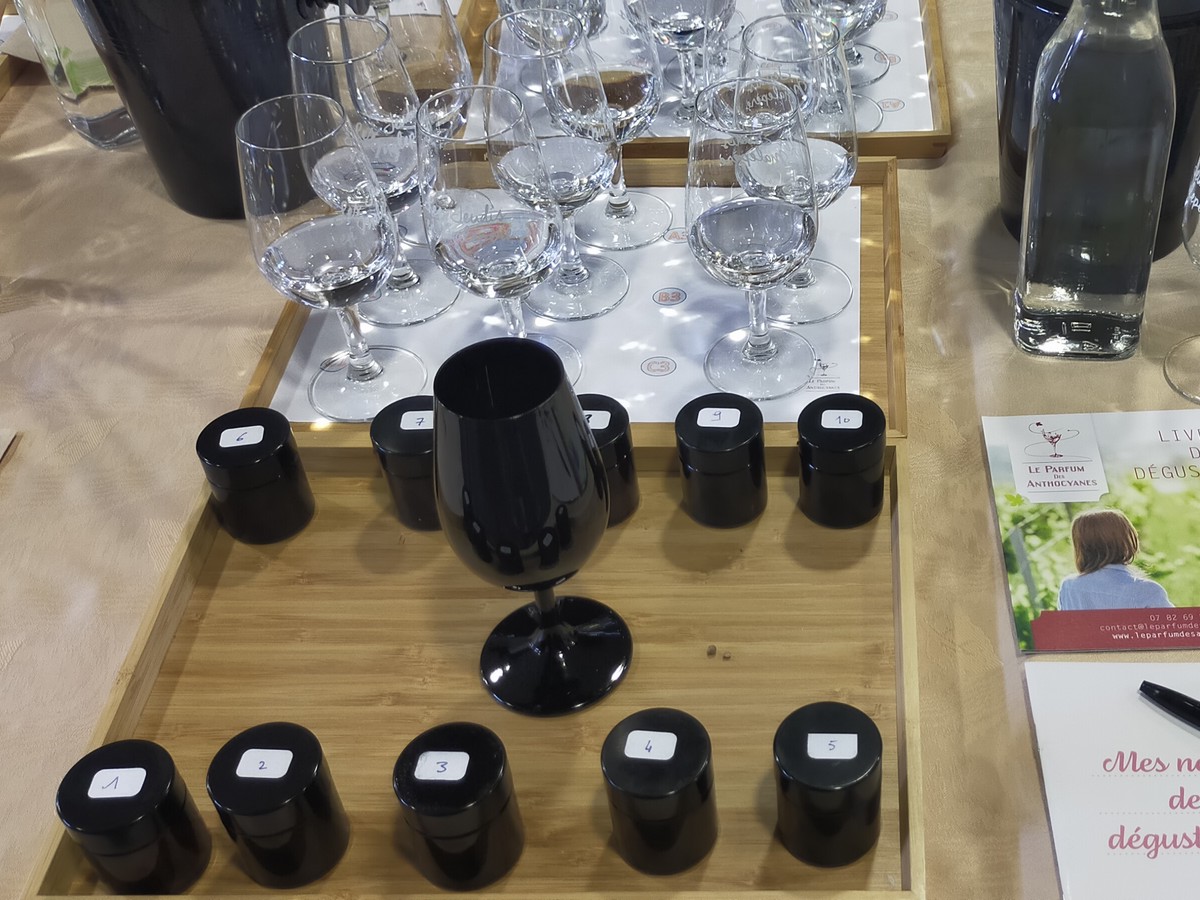 ATELIER DE DÉGUSTATION OENOLOGIQUE LE PARFUM DES ANTHOCYANES