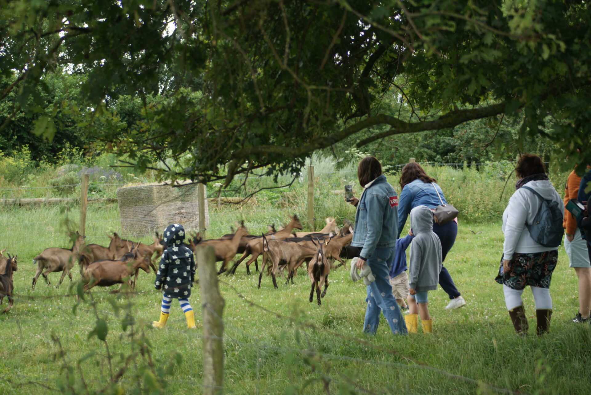 Atelier découverte les animaux de la ferme Sepmes
