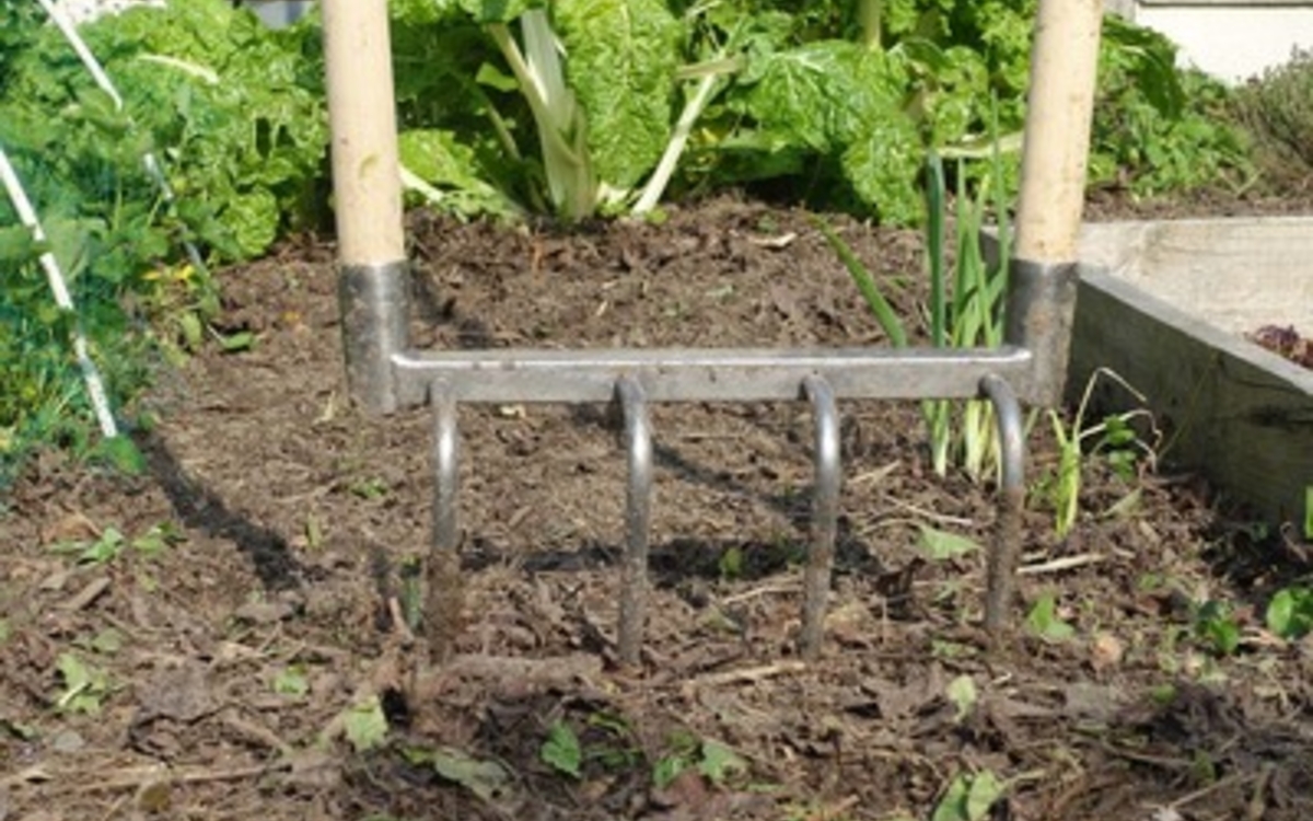 Comment entretenir et préparer son espace de jardin avant l'hiver ? Maison du Jardinage et du compostage - Pôle ressource Jardinage Urbain  Paris 12ème