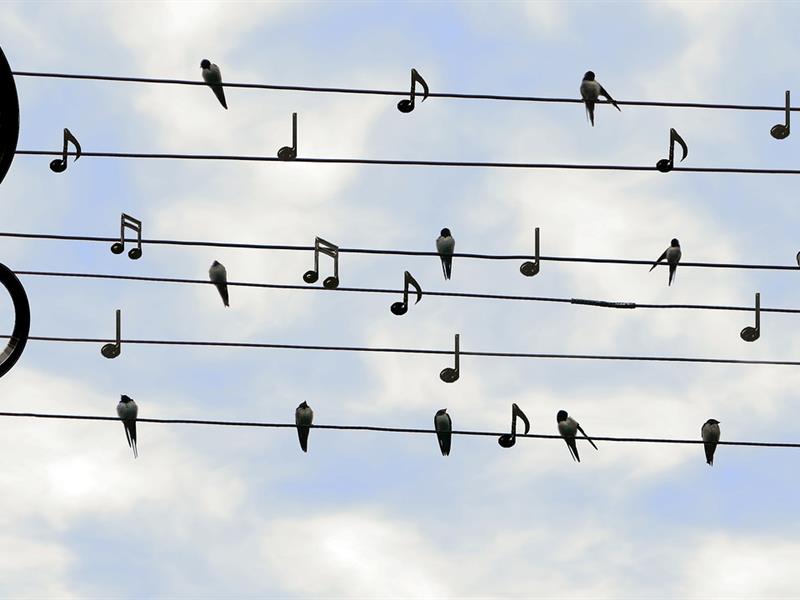 Concert des professeurs de l'EMK