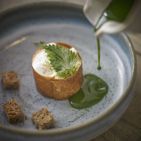 De la soupe et du pain sec ; orties et haricots verts_abbaye fontevraud_Thibaut-Ruggeri abbaye fontevraud