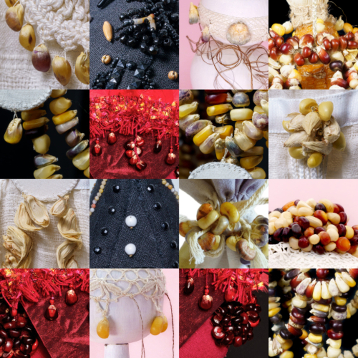 Exposition Alice Calm : des graines en partage Bibliothèque Clémence Lortet Lyon