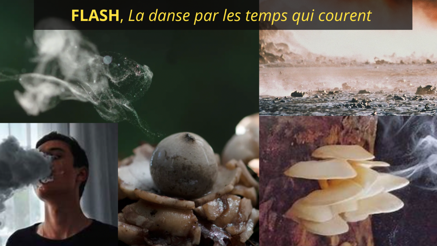 FLASH | Le laboratoire des sens