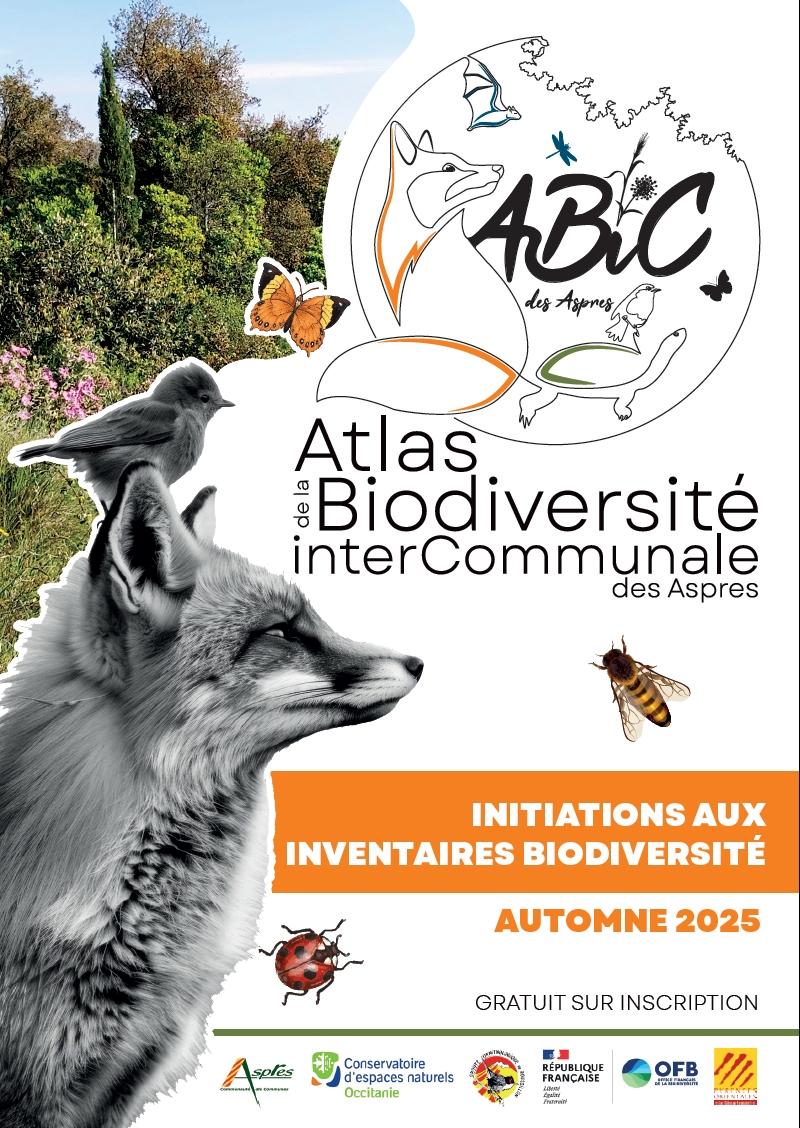 INITIATION AUX INVENTAIRES BIODIVERSITÉ