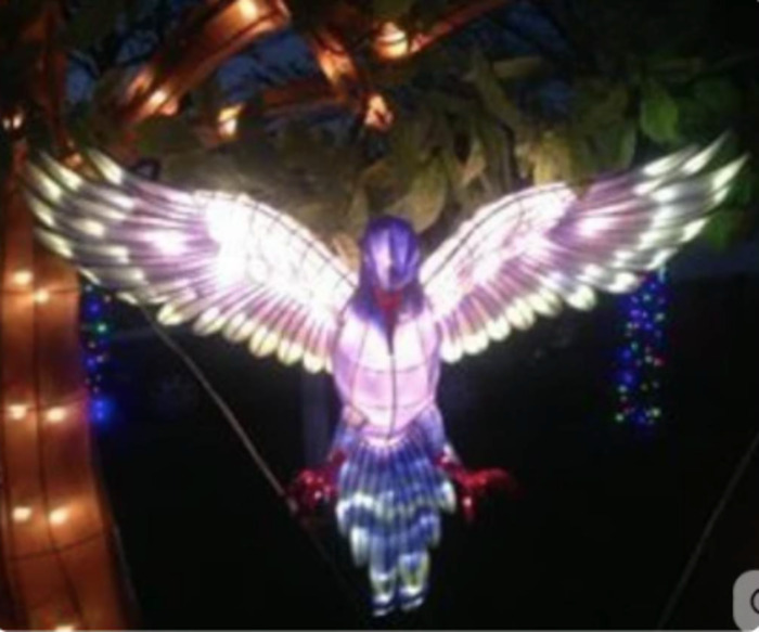 La Parade Oiseaux du 6 décembre boulevard de la prairie au duc