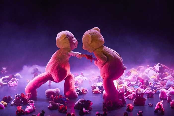 L'arrière-Pays de la Compagnie Les Trois Points du Suspension Salle Omnisport de Renazé Renazé