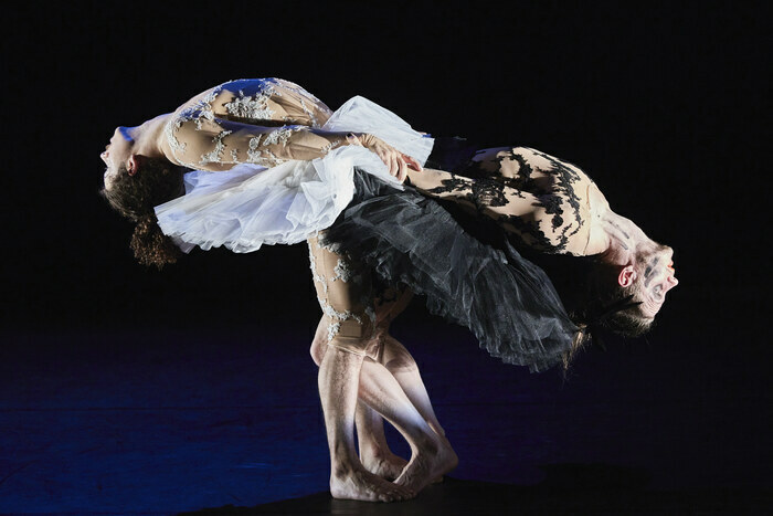 Le Lac des Cygnes de la Compagnie L'Eolienne Salle du FCC à Cossé-le-Vivien Cossé-le-Vivien