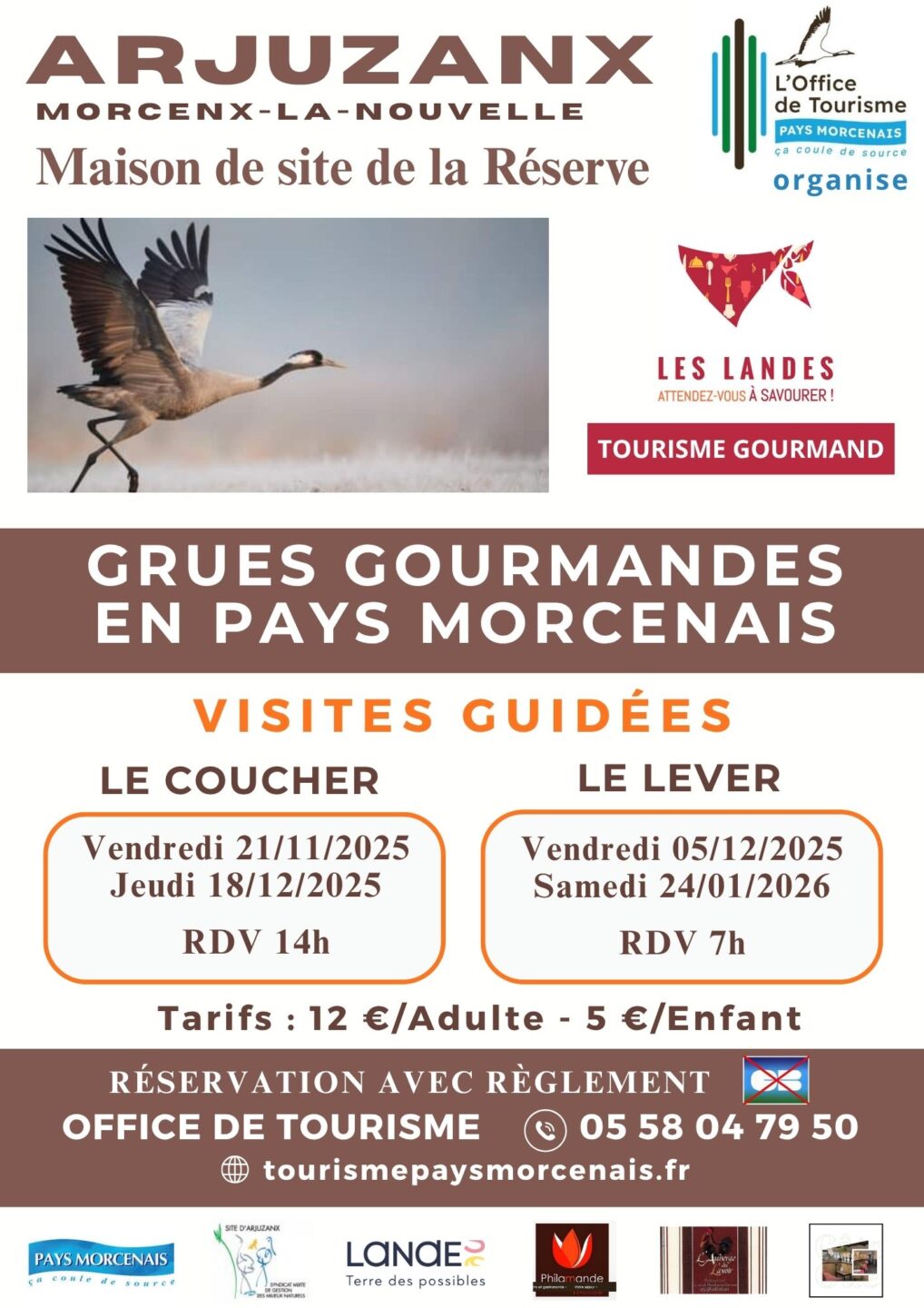 Les grues gourmandes en Pays Morcenais Le coucher