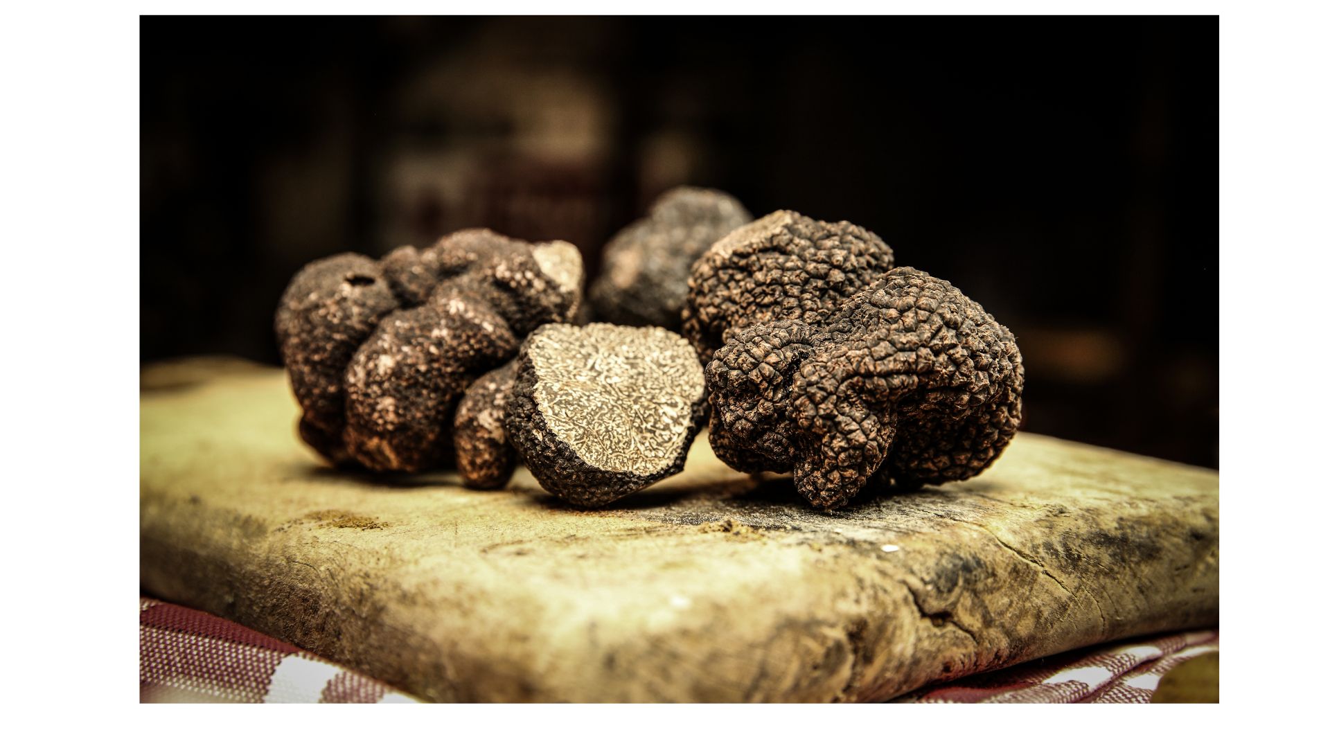 Les rencontres de la trufficulture 28 janvier 2026 Sorges et Ligueux en Périgord