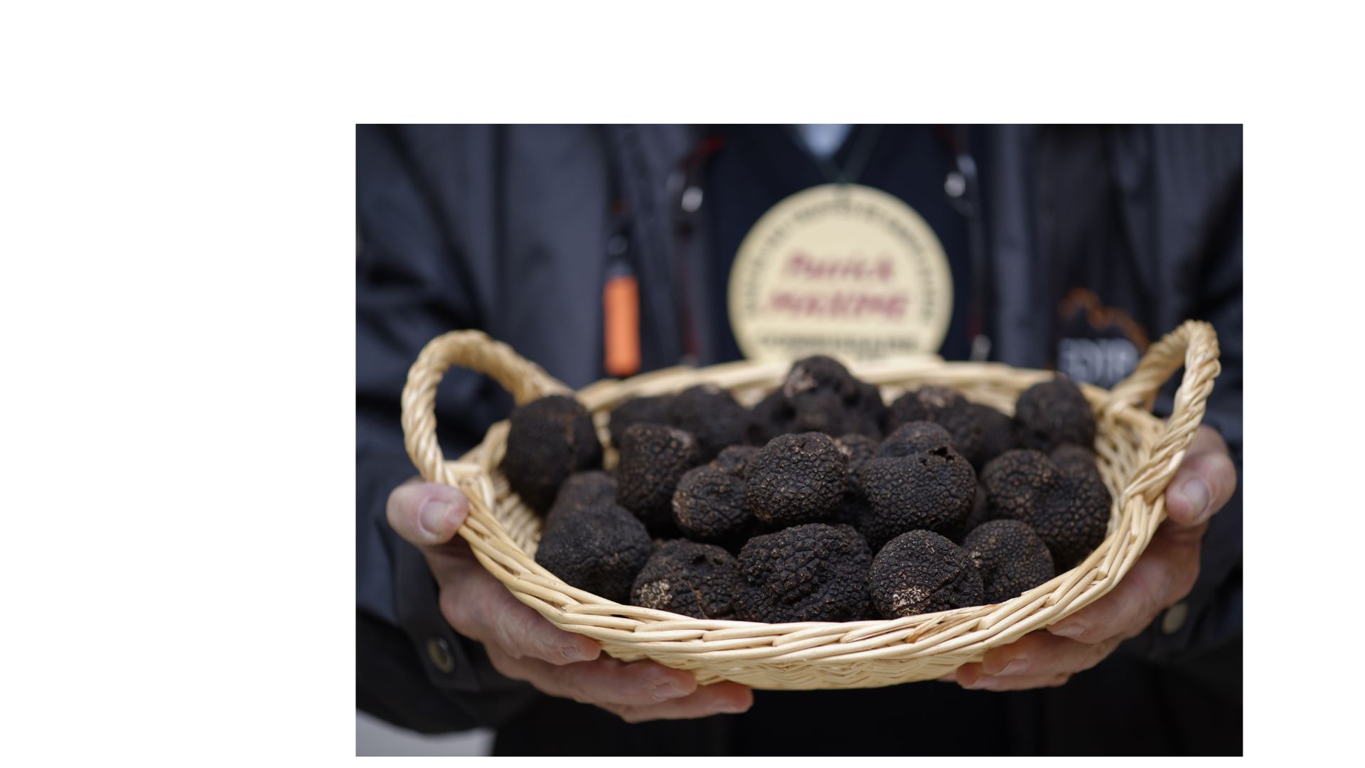 Marché aux truffes Dimanches matins Décembre et janvier Sorges