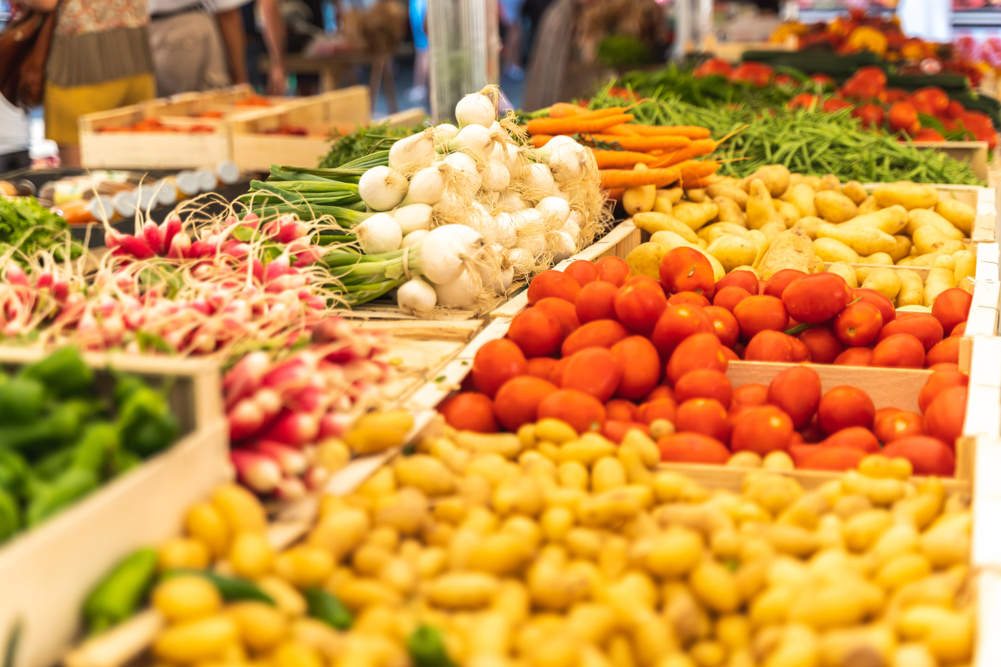 Marché de Quintaou Allée de Quintaou Anglet 2025-12-21 Marché de Quintaou