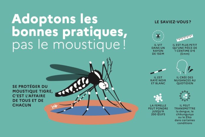 moustique tigre rennes moustique tigre rennes