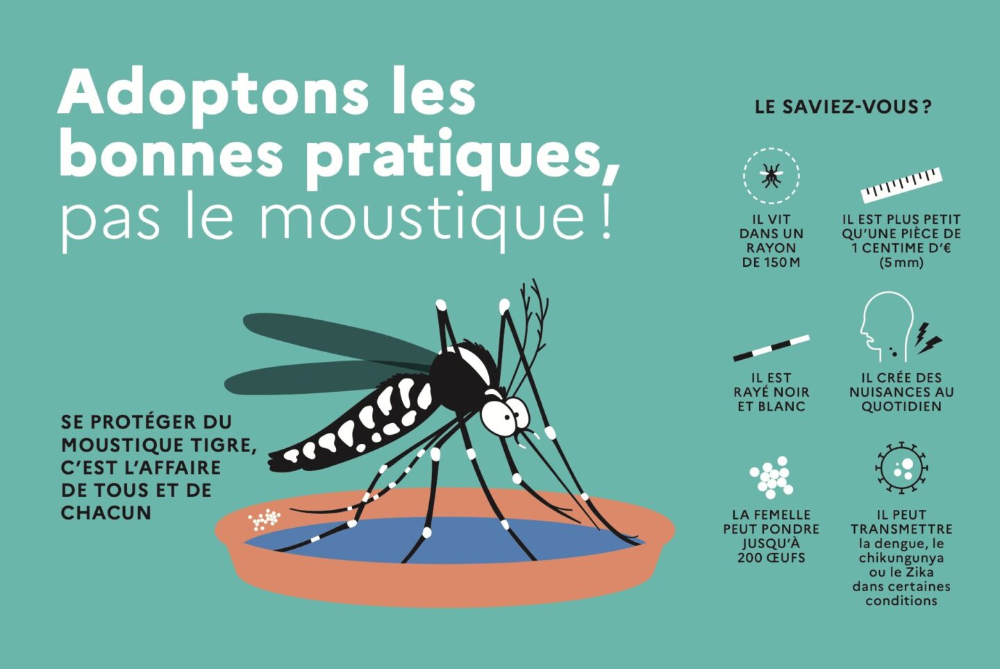 moustique tigre rennes