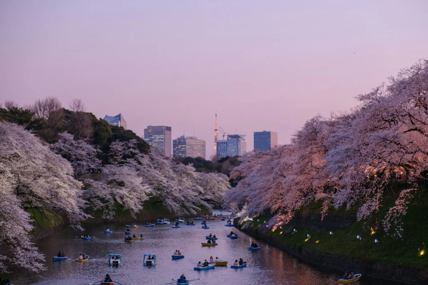 parc ueno 