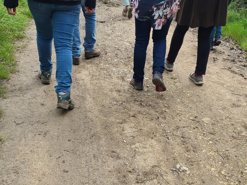 Randonnée printanière