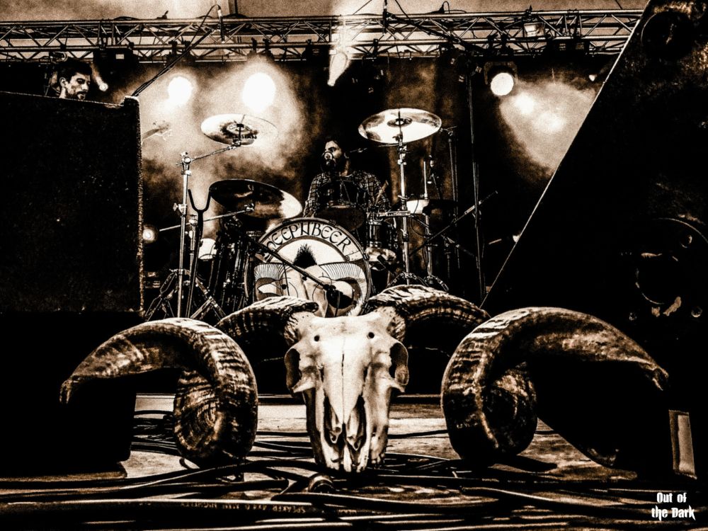 Session culturelle #5 Sheep’n’Beer