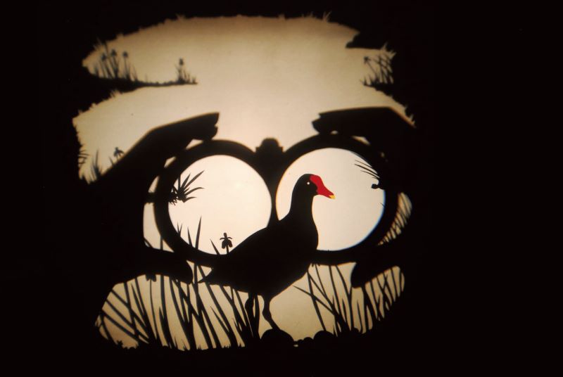 Spectacle immersif Volatile Ombré