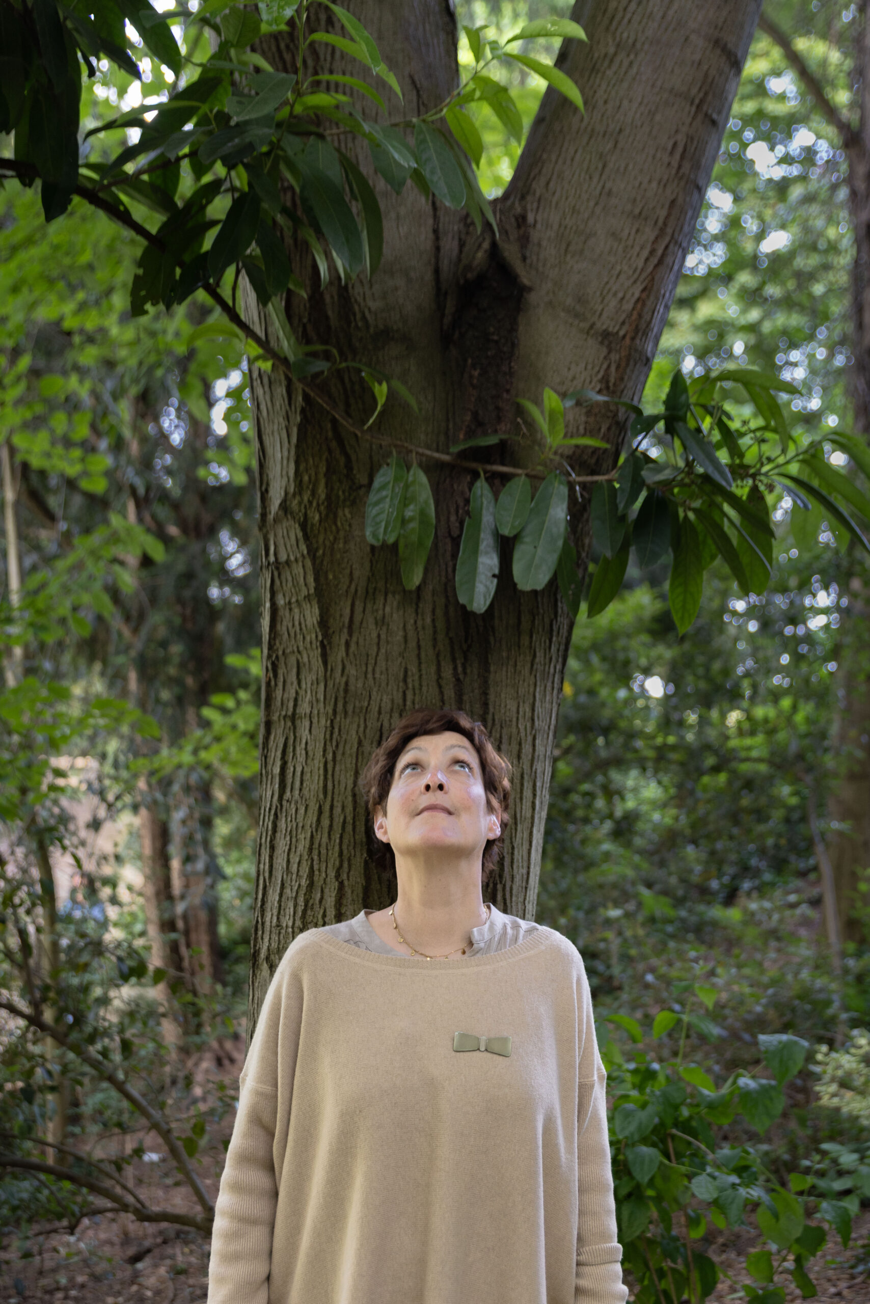 Théâtre D'un paysage à l'autre