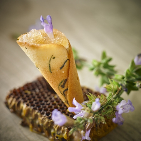 Une pause fontevriste, à l’hydromel d’été_abbaye fontevraud_Thibaut-Ruggeri abbaye fontevraud