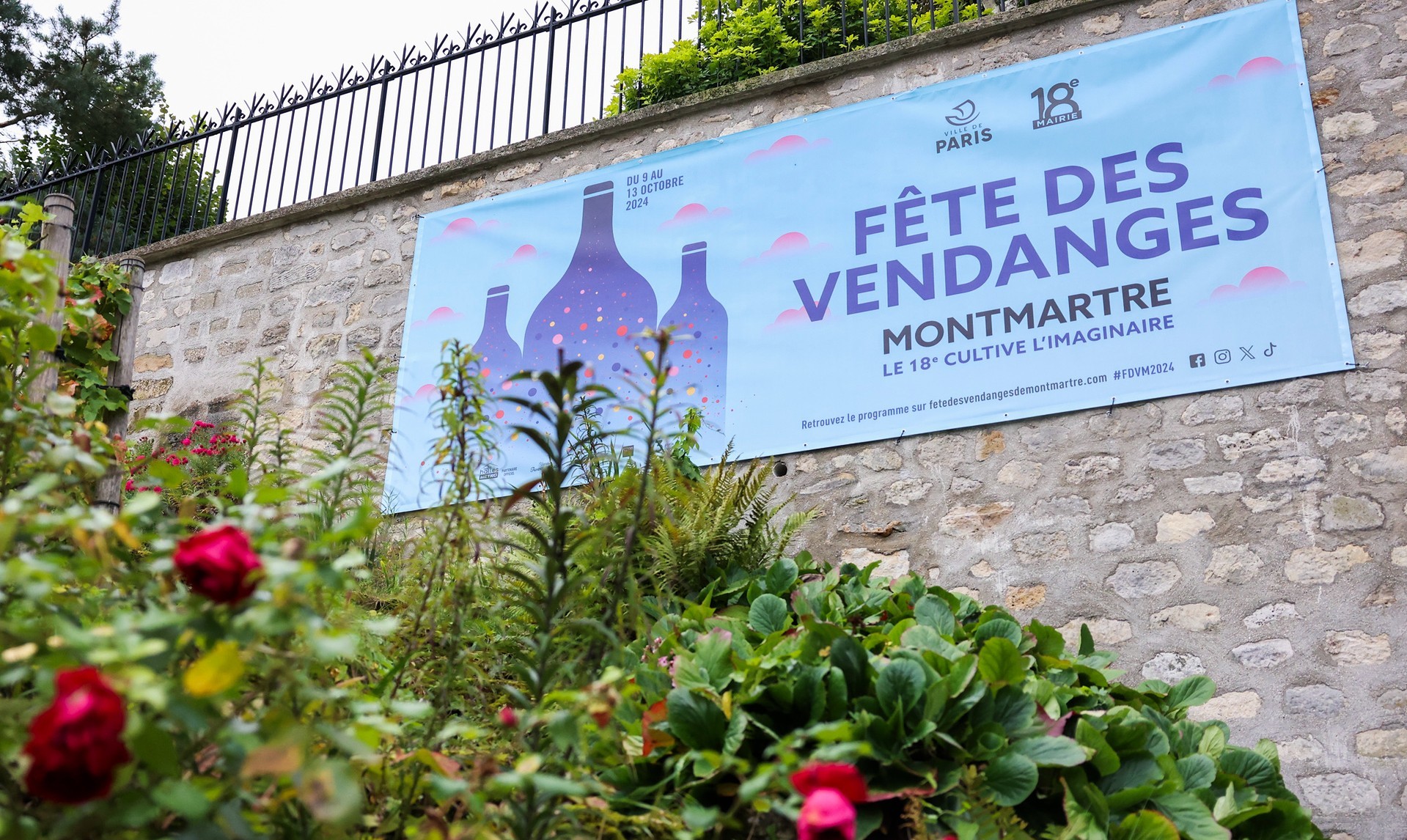 Vendanges Montmartre