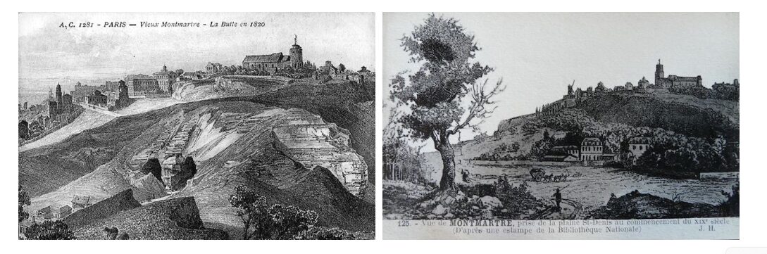 Vendanges Montmartre 