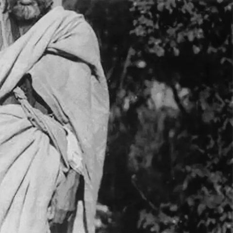 3646_Hoda-Afshar_1 hoda afshar