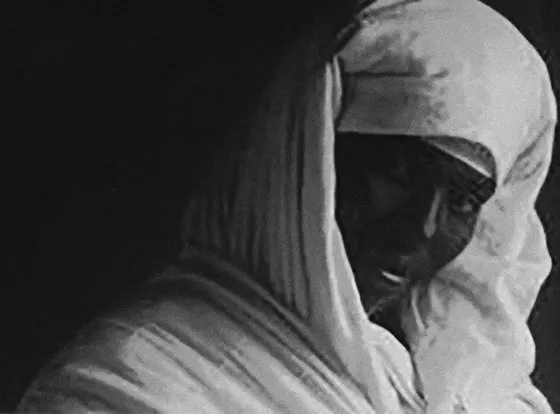 3646_Hoda-Afshar_ref hoda afshar