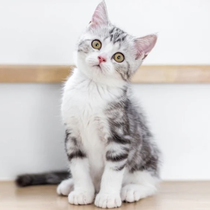 Evénement de test Médiathèque Jean Degoul Eysines