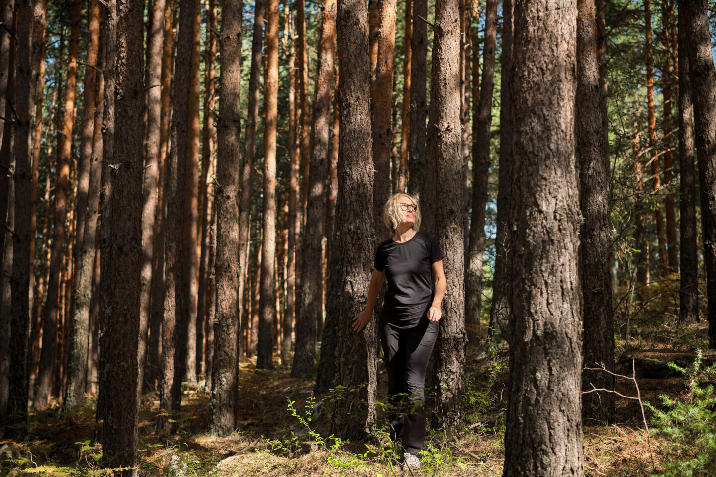 Exposition les faiseurs de sciure le corps forestier canadien dans la forêt de Belin-Béliet
