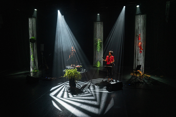 Nelson - Forêts Salle Paul Fort Nantes Nantes