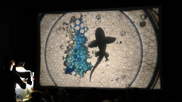 P’tits lives Balade en forêt Médiathèque du Bois Fleuri Lormont