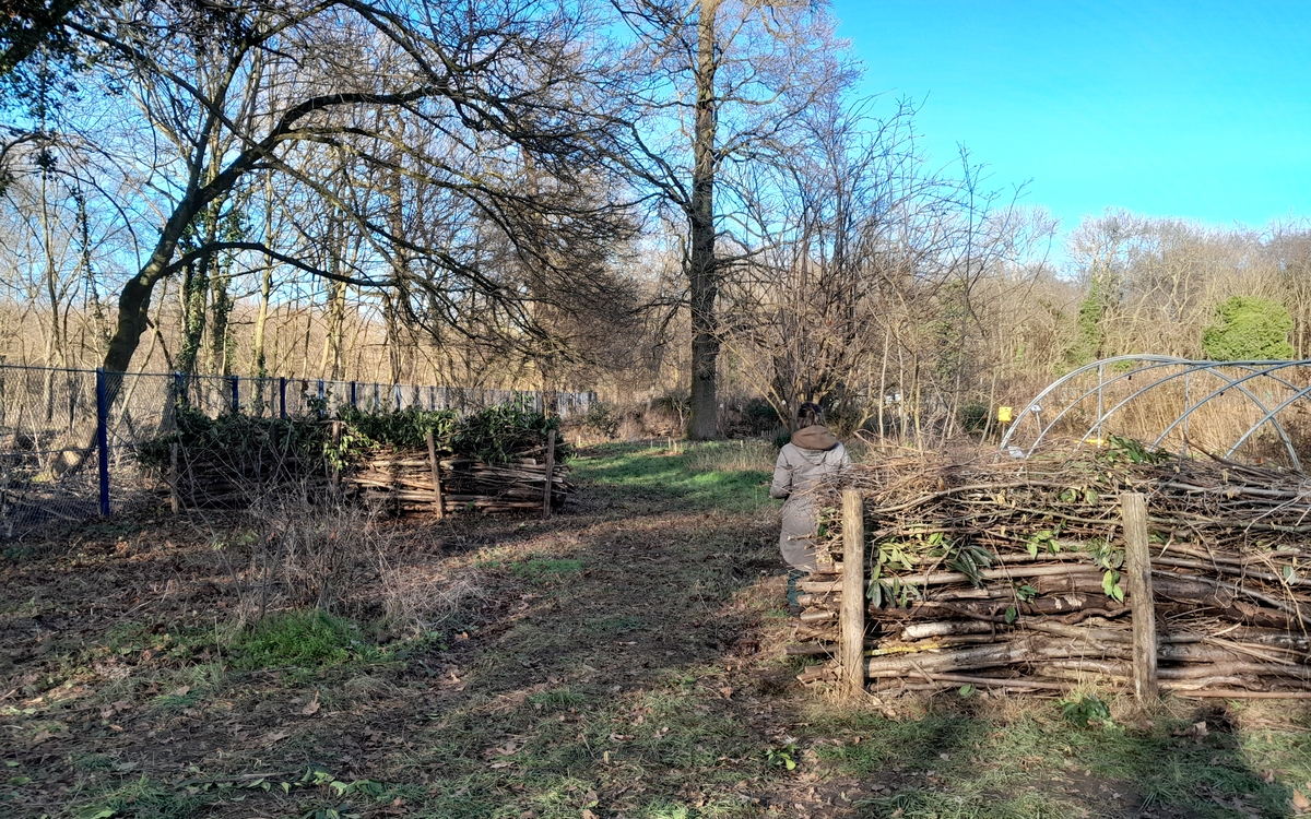 A l'école de la permaculture Ferme de Paris Paris