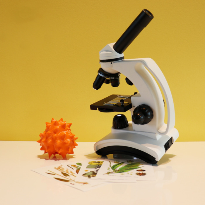 À l’origine des paysages… - Atelier archéo-botanique Médiathèque Espace Diderot Rezé